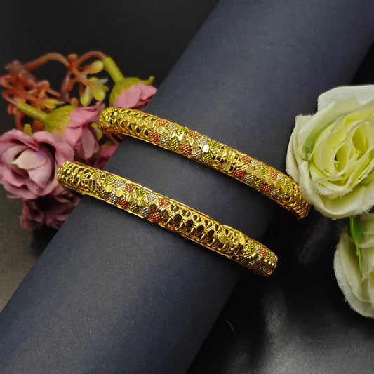 14758 Gold polish meenakari 2 pcs bangle